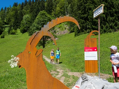 Ausflugsziel: Formarinsee und Rote Wand