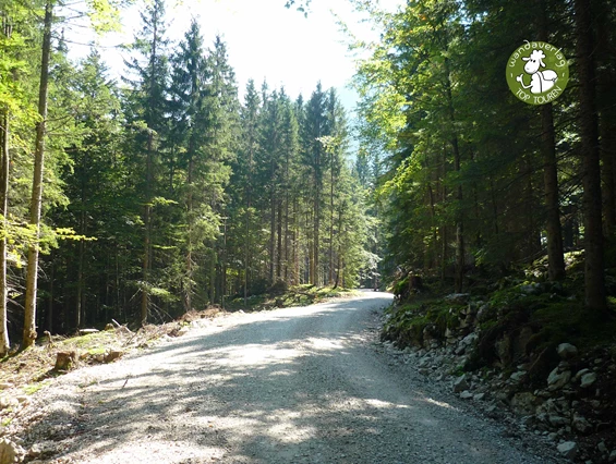 Ausflugsziel: Hier startet die Wanderung auf die Rettenegghütte - Postalm Rettenegghütte