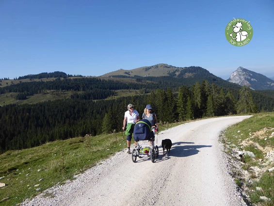 Ausflugsziel: Bald wandert man über die offenen Weideflächen - Postalm Rettenegghütte