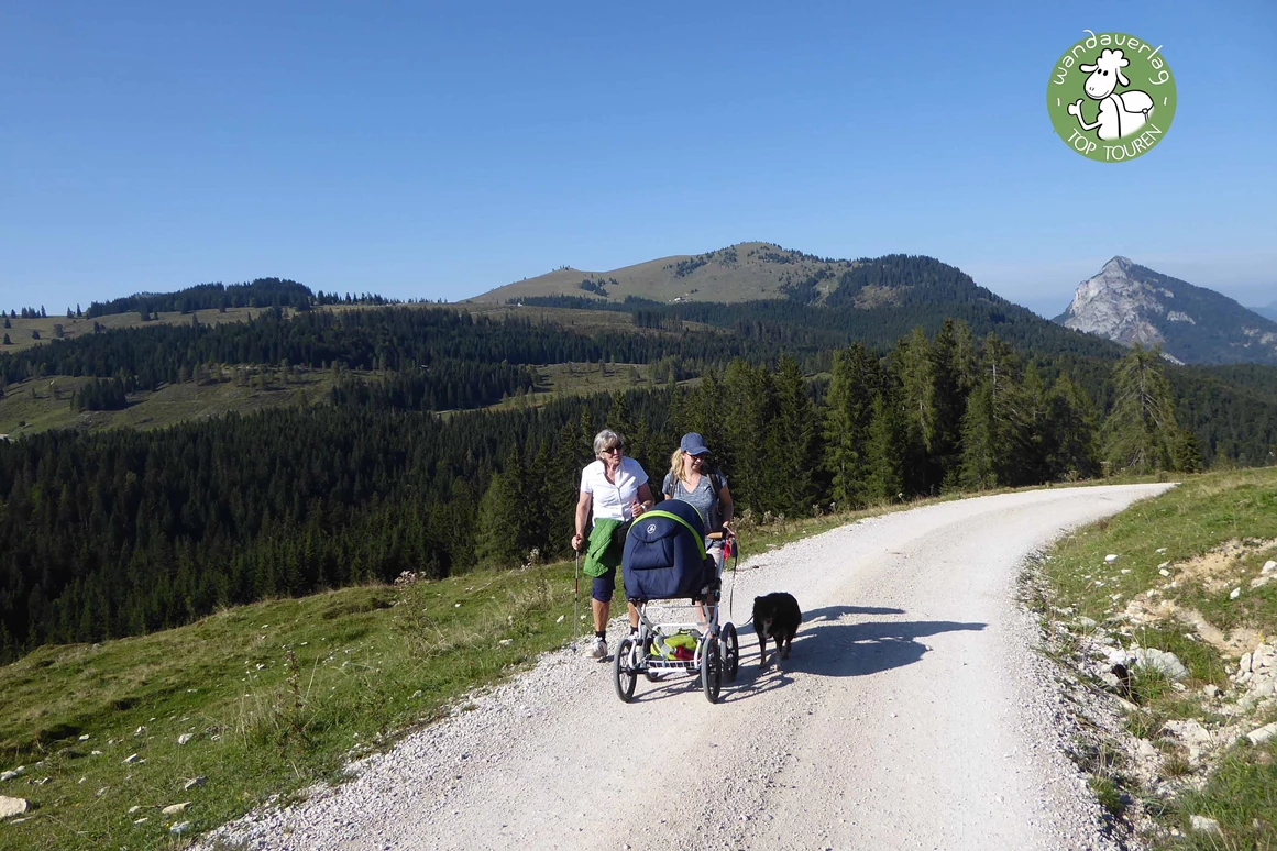 Ausflugsziel: Bald wandert man über die offenen Weideflächen - Postalm Rettenegghütte