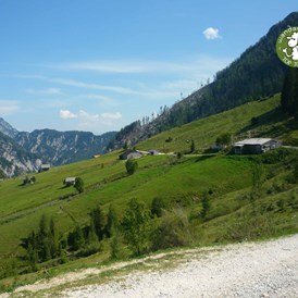 Ausflugsziel: Die Almhütte ist in Sicht - Postalm Rettenegghütte