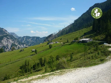 Ausflugsziel: Die Almhütte ist in Sicht - Postalm Rettenegghütte