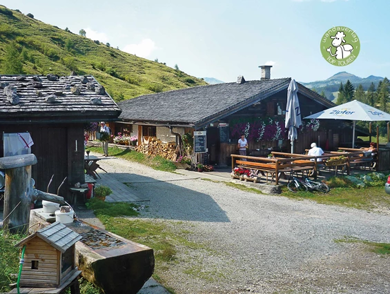Ausflugsziel: Gemütliche Einkehr - Postalm Rettenegghütte