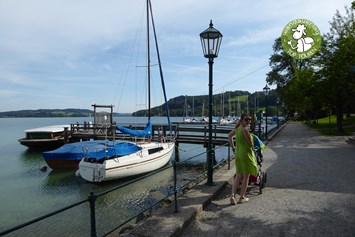 Ausflugsziel: Eine der schönsten Promenaden im Salzburger Seenland.  - Bajuwarendorf Mattsee