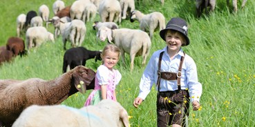 Ausflug mit Kindern - Dauer der Aktivität: 1 - 2 Stunden - PLZ 4831 (Österreich) - 800 Schafe pflegen im Sommer die Pisten des Winters. - Bergsommer am Hauser Kaibling