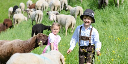 Ausflug mit Kindern - Parkplatz - Rohrmoos - 800 Schafe pflegen im Sommer die Pisten des Winters. - Bergsommer am Hauser Kaibling