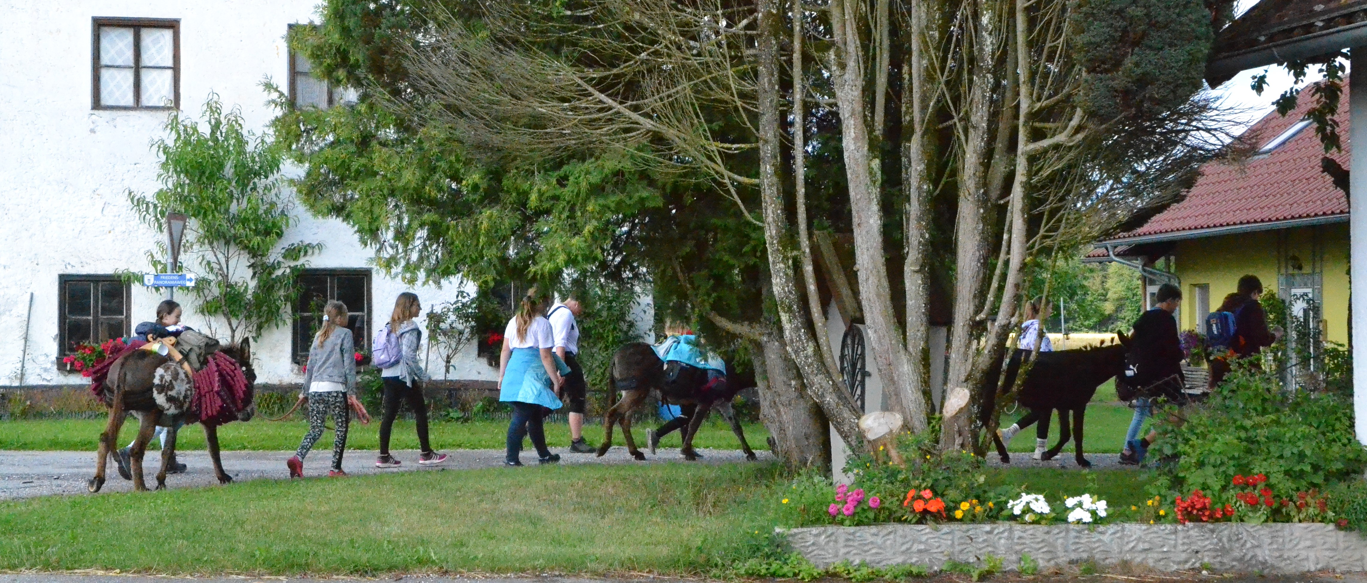 Ausflugsziel: Eselwandern am Eselhof Berndlgut