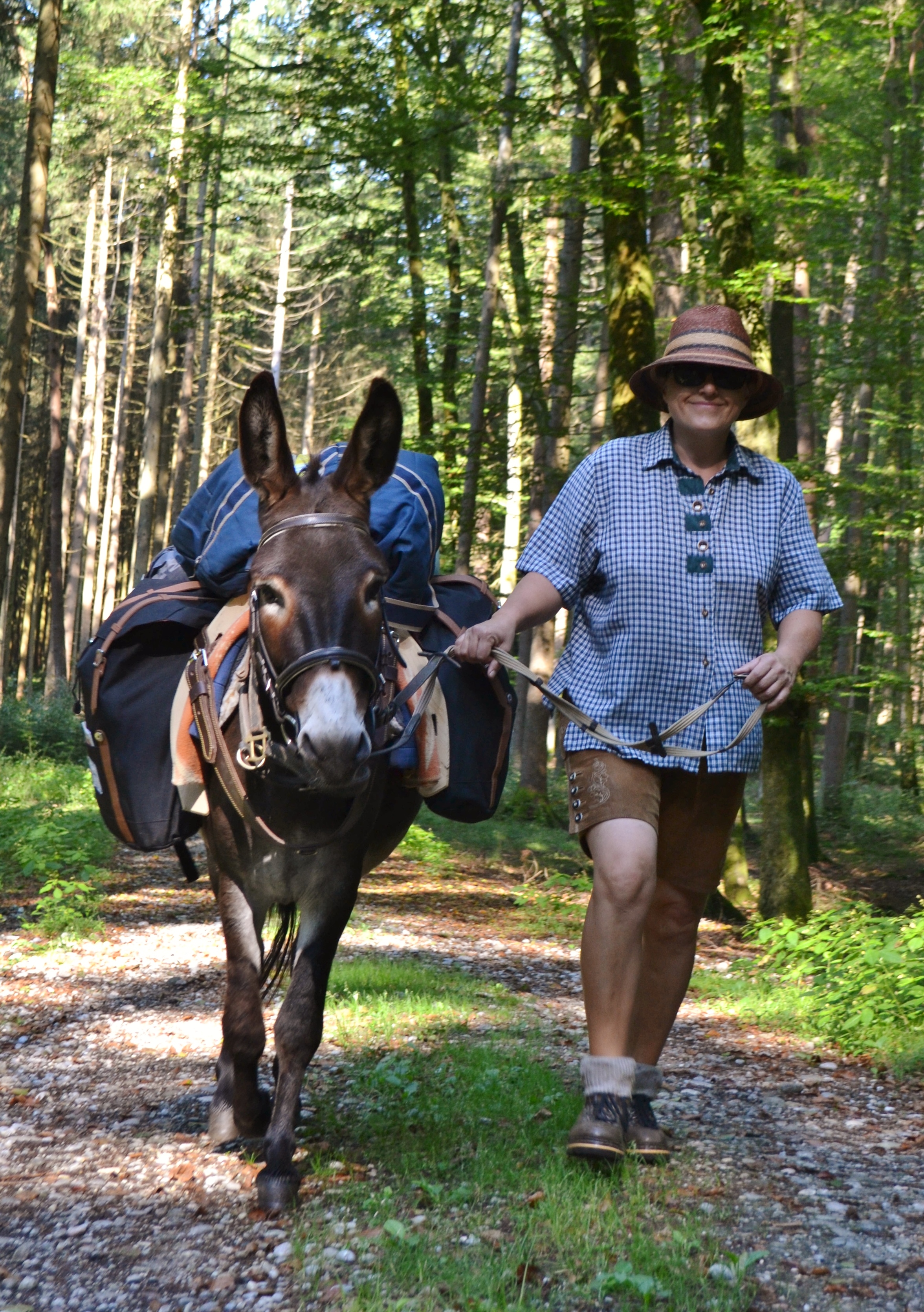 Ausflugsziel: Eselwandern am Eselhof Berndlgut