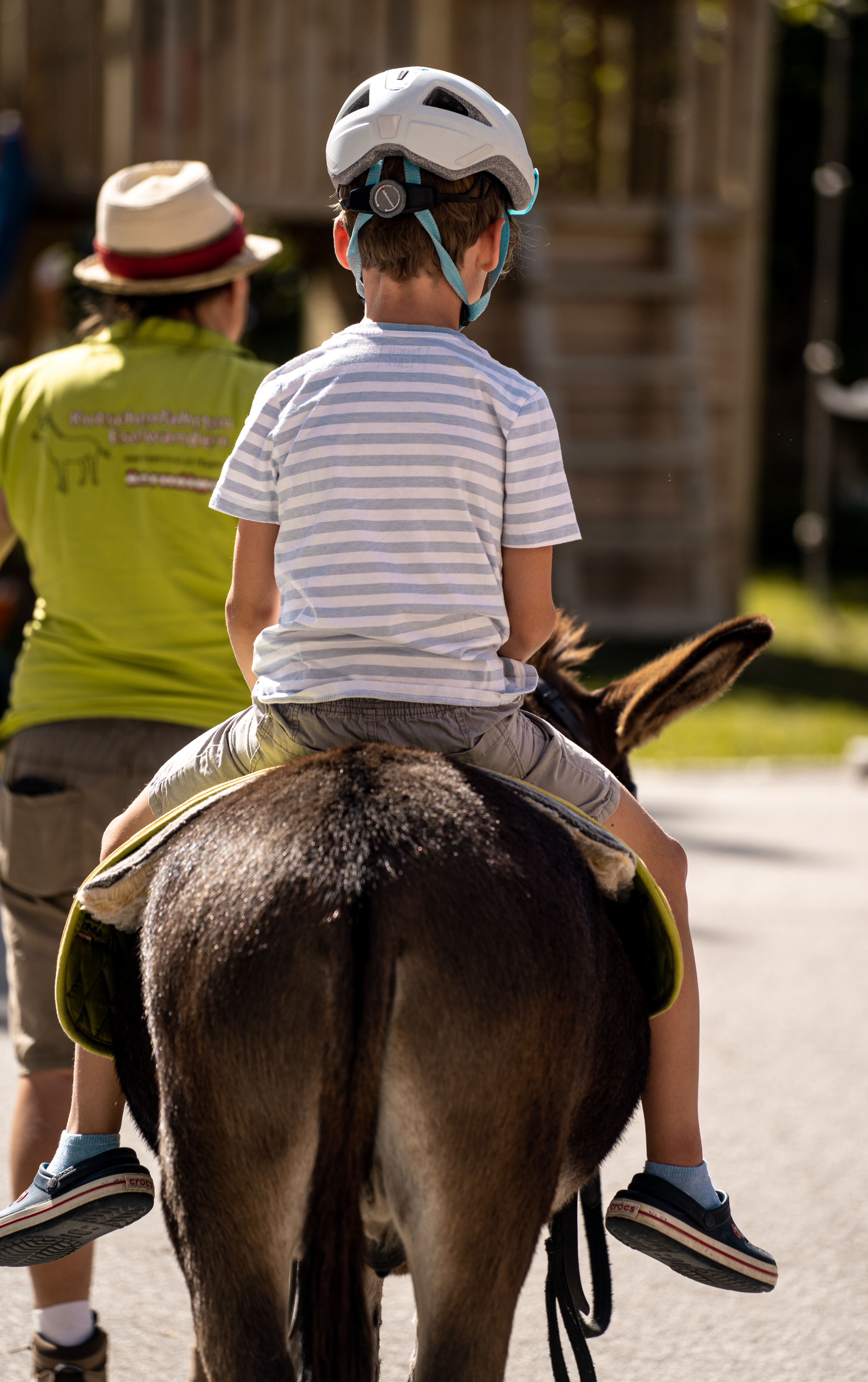 Ausflugsziel: Eselreiten Berndlgut