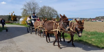 Trip with children - Grabenstätt - Esel-Kutschenfahrten Eselhof Berndlgut