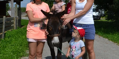 Trip with children - Grabenstätt - Eselhof Berndlgut Kindergeburtstag