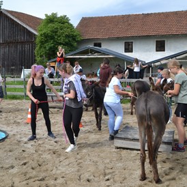 Ausflugsziel: Esel-Führerschein am Berndlgut