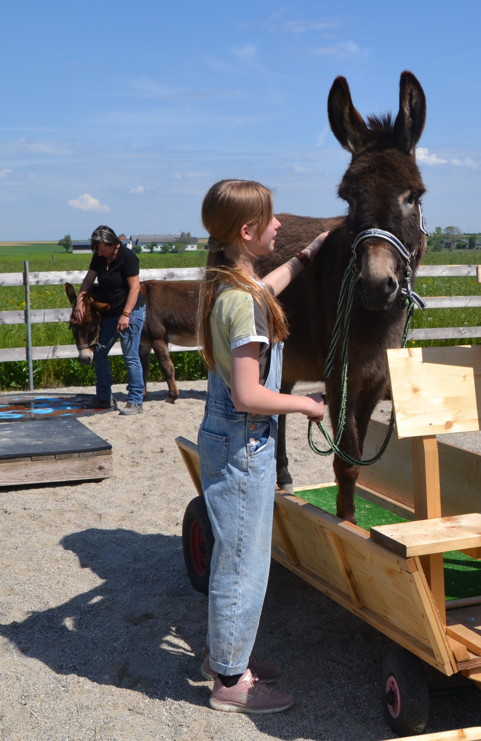 Ausflugsziel: Esel-Führerschein am Berndlgut