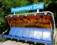 Ausflugsziel: Doppelmayr Zoo