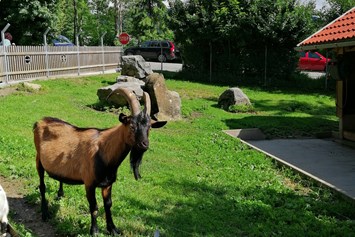 Ausflugsziel: Doppelmayr Zoo