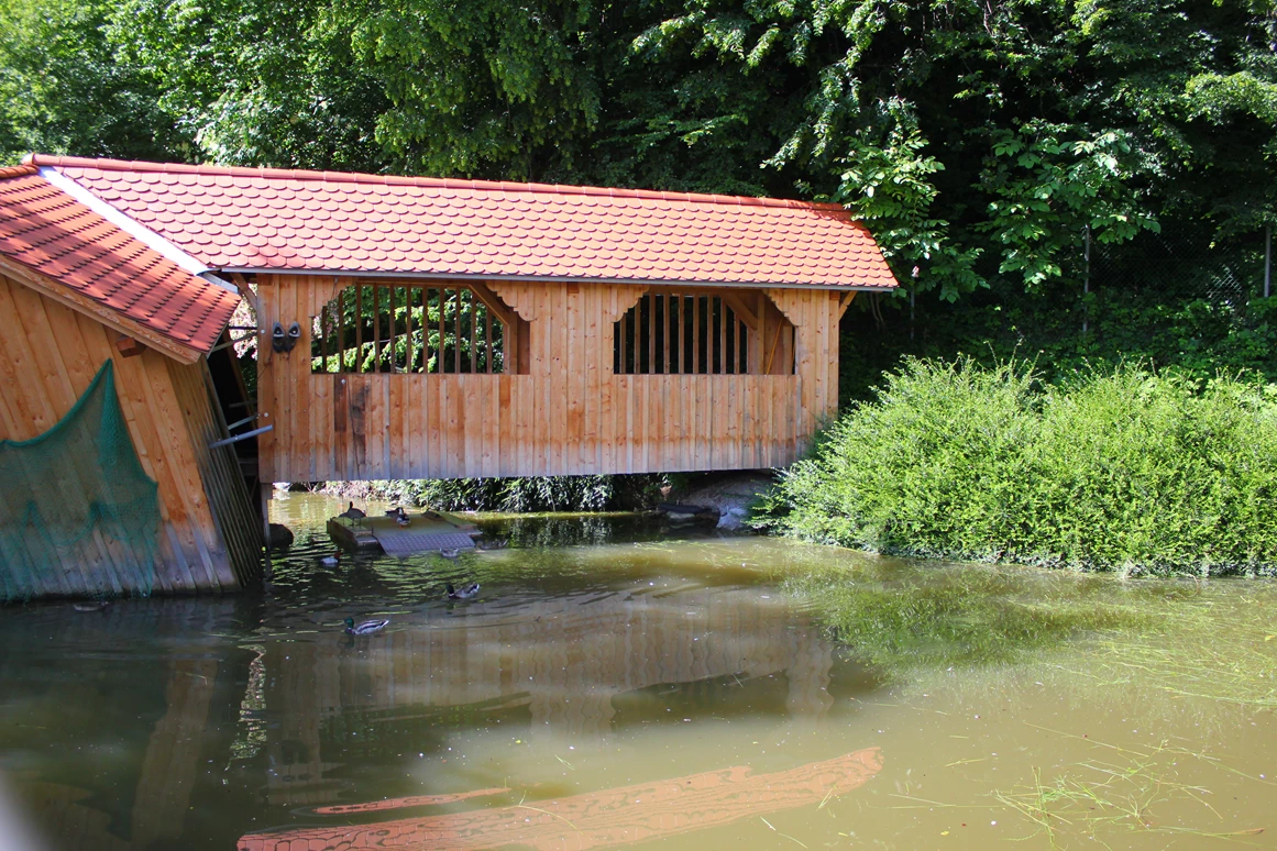 Ausflugsziel: Doppelmayr Zoo