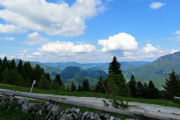 Ausflugsziel: Sausteigalm am Zwölferhorn