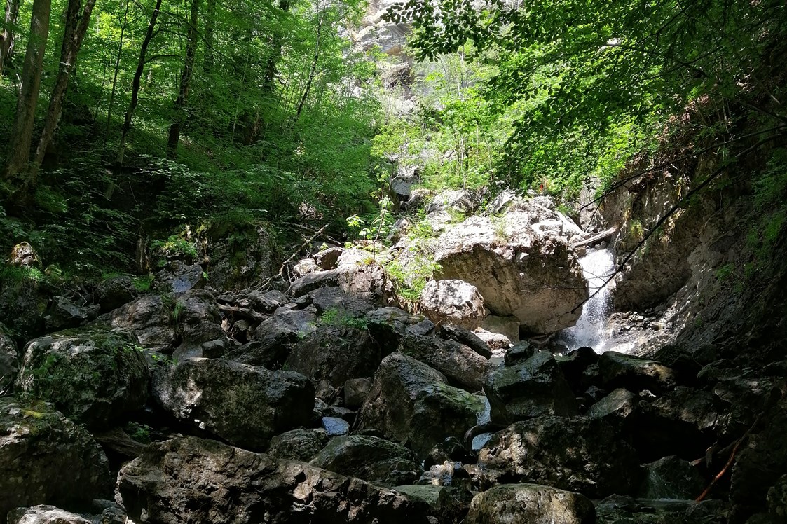 Ausflugsziel: Zimmerau-Klaus-Wasserfall Mellau