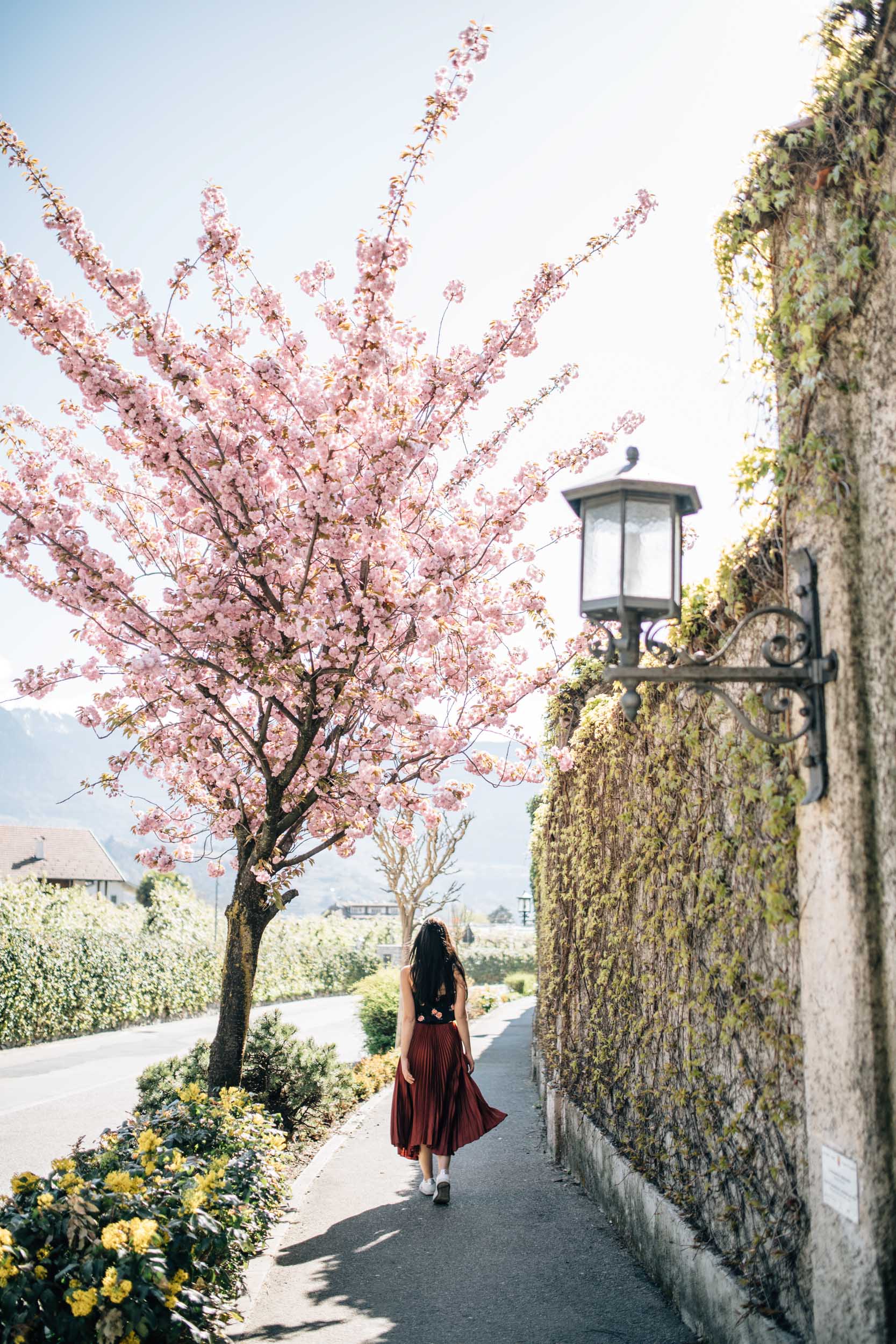 Urlaub: Frühling in Algund
© Tourismusverein Algund, Benjamin Pfitscher - Algund bei Meran