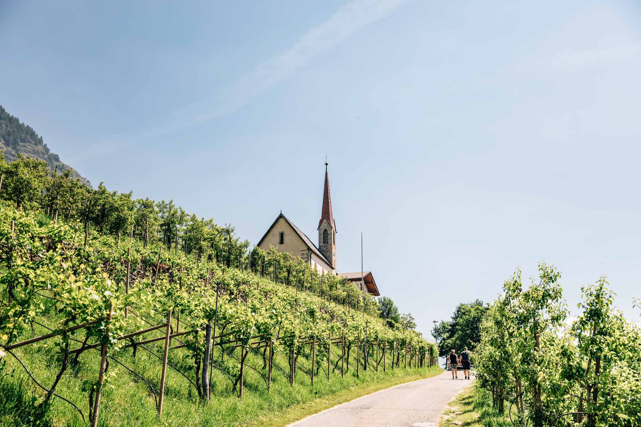 Urlaub: Sommer in Algund
© Tourismusverein Algund, Benjamin Pfitscher - Algund bei Meran