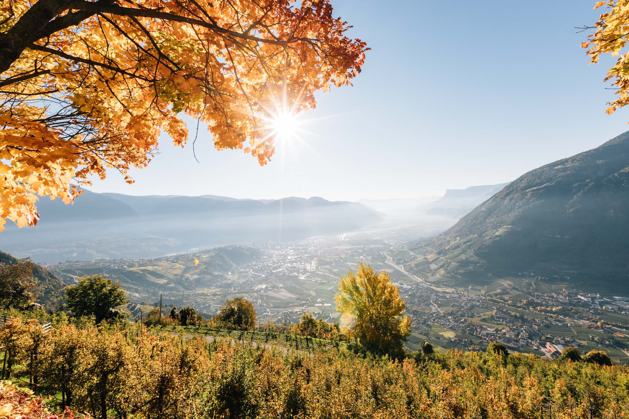 Urlaub: Herbst in Algund
© Tourismusverein Algund, Benjamin Pfitscher - Algund bei Meran