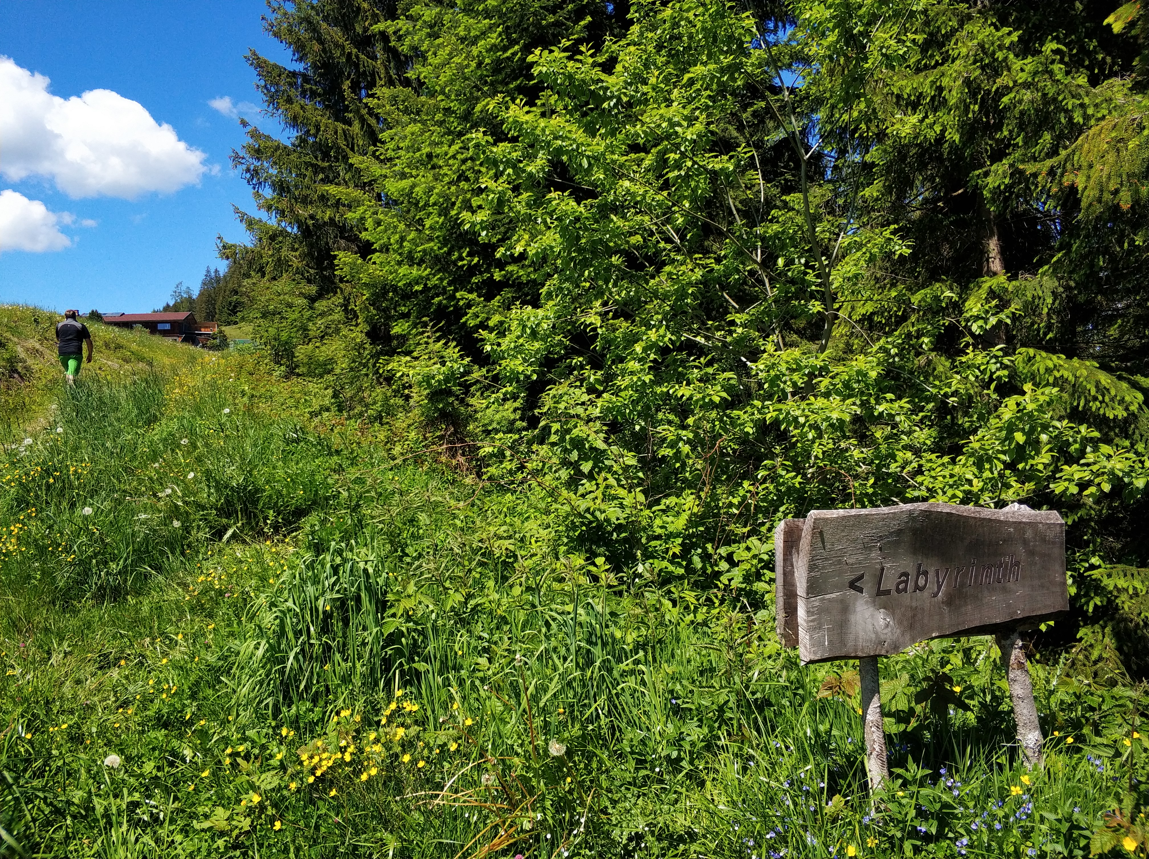 Ausflug mit Kindern - Themenschwerpunkt: Wandern - Münster (Münster) - Wald-Familienweg Wildschönau in Thierbach  - Wald-Familienweg in Thierbach – Wildschönau 