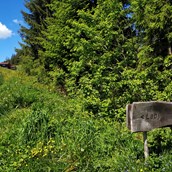 Ausflug mit Kindern: Wald-Familienweg Wildschönau in Thierbach  - Wald-Familienweg in Thierbach – Wildschönau 