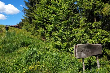 Ausflugsziel: Wald-Familienweg in Thierbach – Wildschönau 