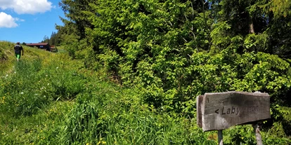 Voyage avec des enfants - Itter - Wald-Familienweg in Thierbach – Wildschönau