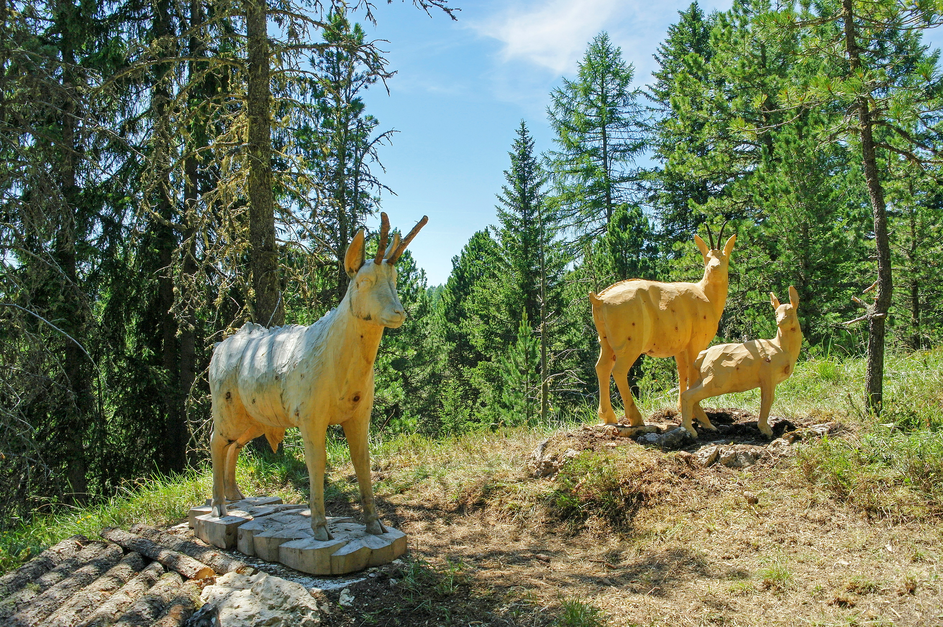 Gröden/Val Gardena  wiederkehrende Events TIERES - Tiere im Wald