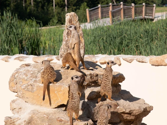 Ausflugsziel: Edelwies Natur- und Freizeitpark