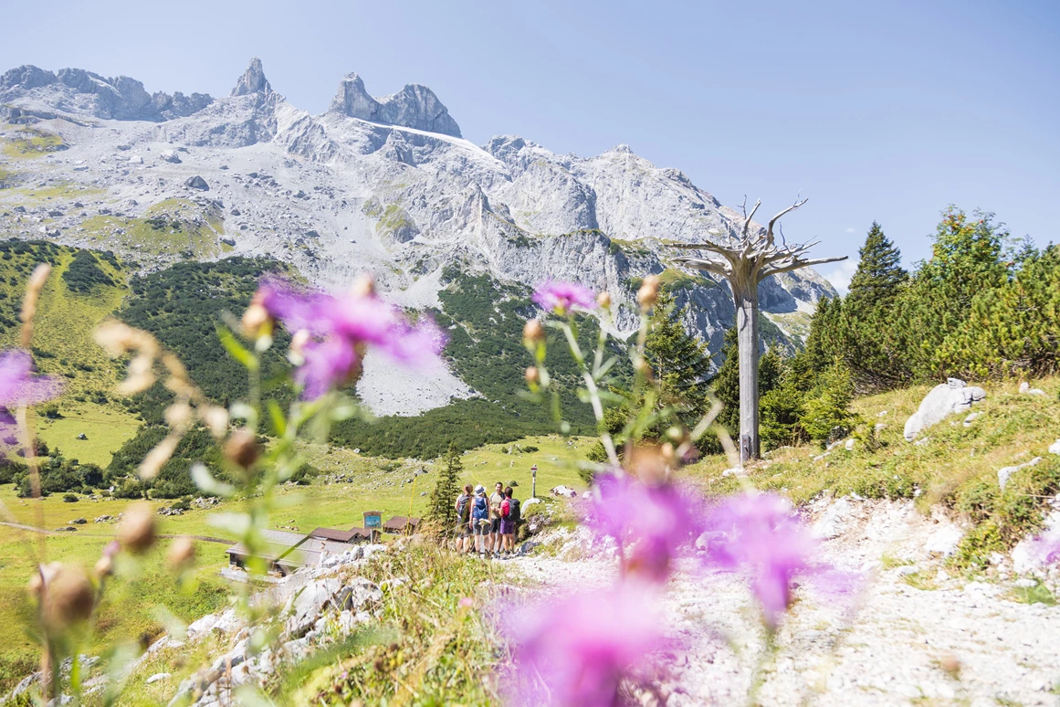 Ausflugsziel: Gauertaler AlpkulTour