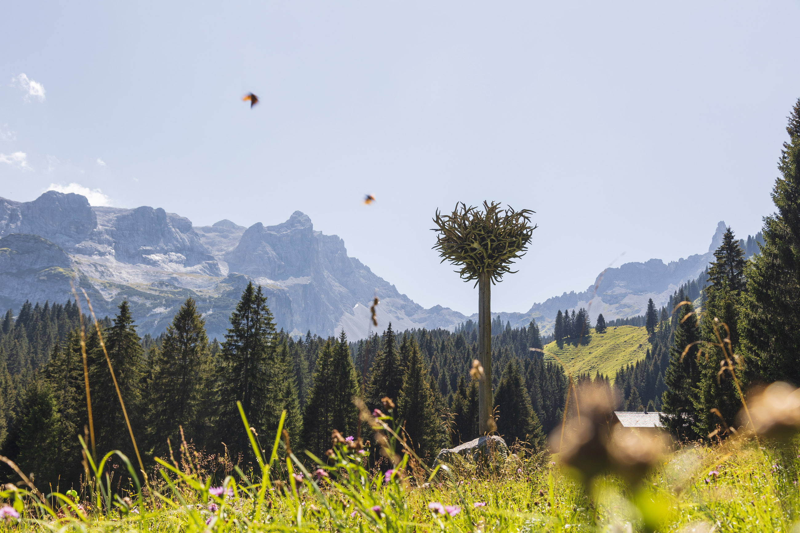Ausflugsziel: Gauertaler AlpkulTour