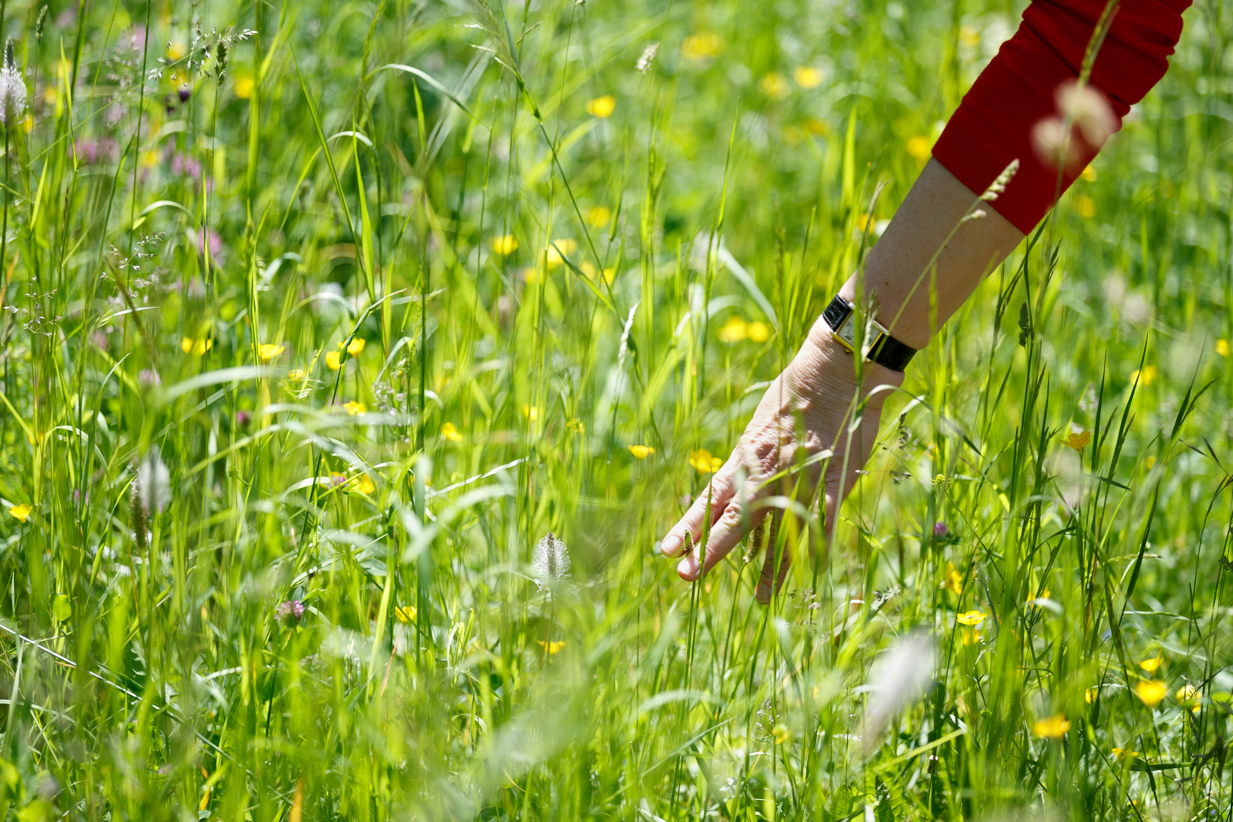 Ausflugsziel: Botanischer Garten der Universität Wien - Grüne Schule