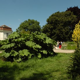 Ausflugsziel: Botanischer Garten der Universität Wien - Grüne Schule
