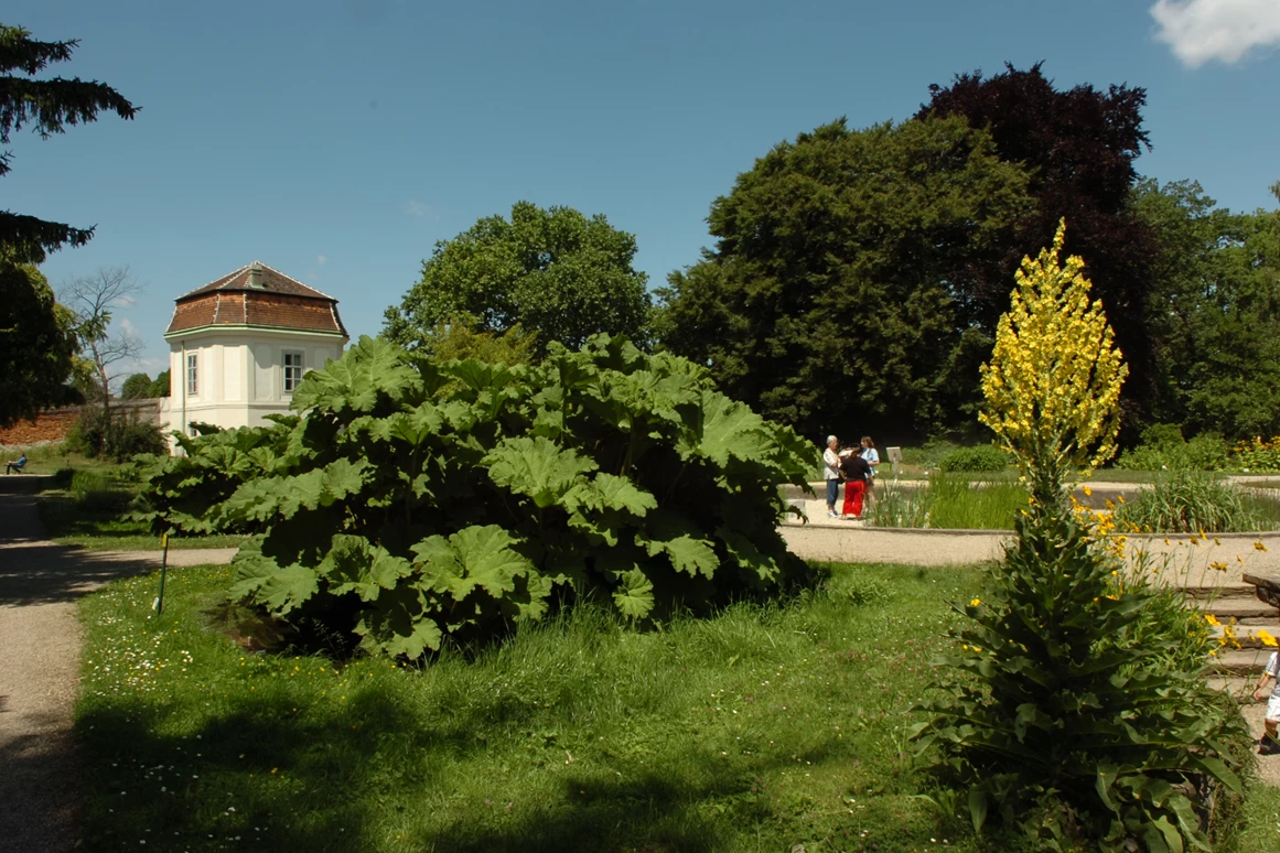 Ausflugsziel: Botanischer Garten der Universität Wien - Grüne Schule