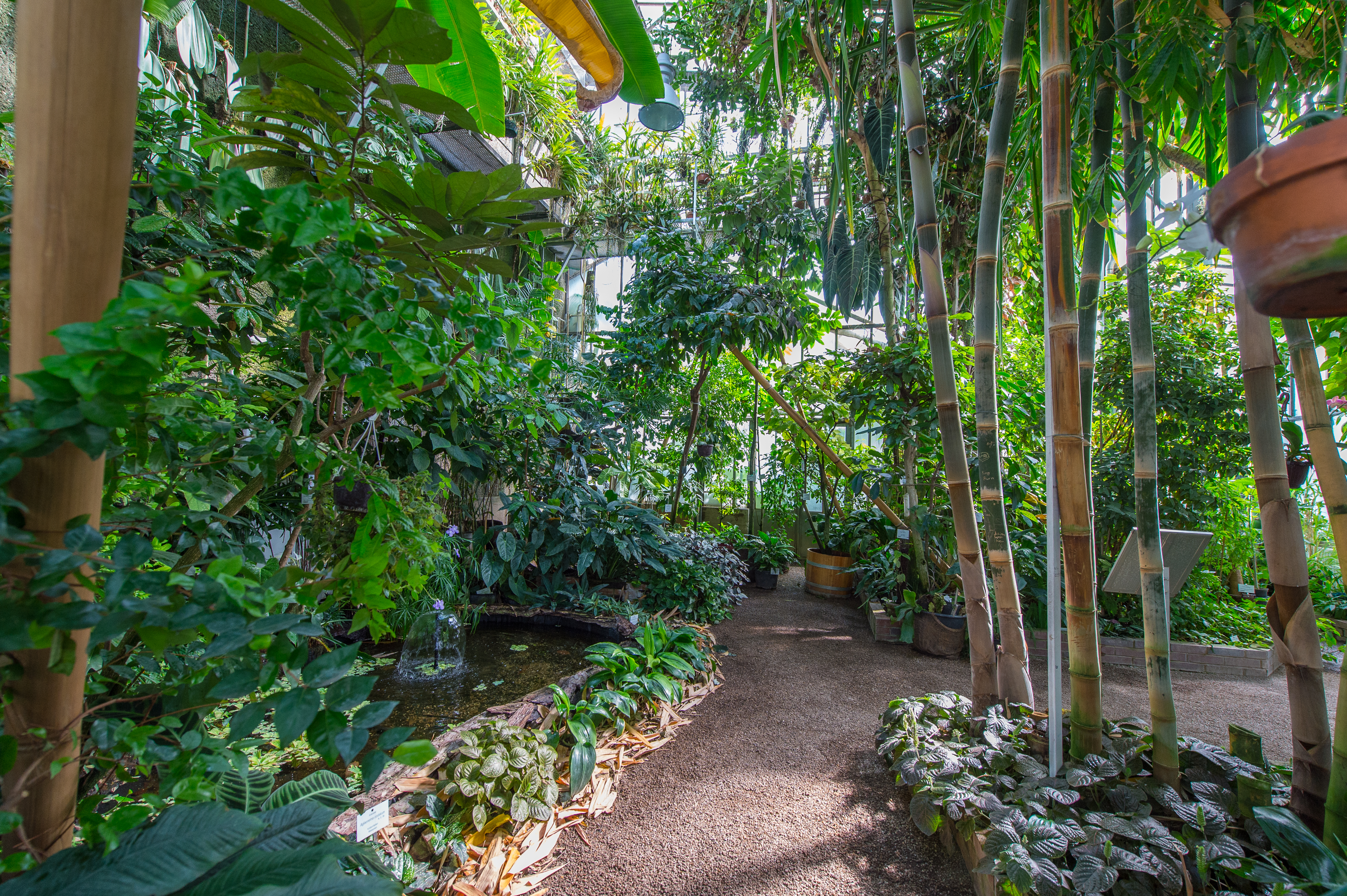 Ausflugsziel: Botanischer Garten der Universität Wien - Grüne Schule