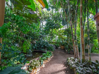 Ausflugsziel: Botanischer Garten der Universität Wien - Grüne Schule