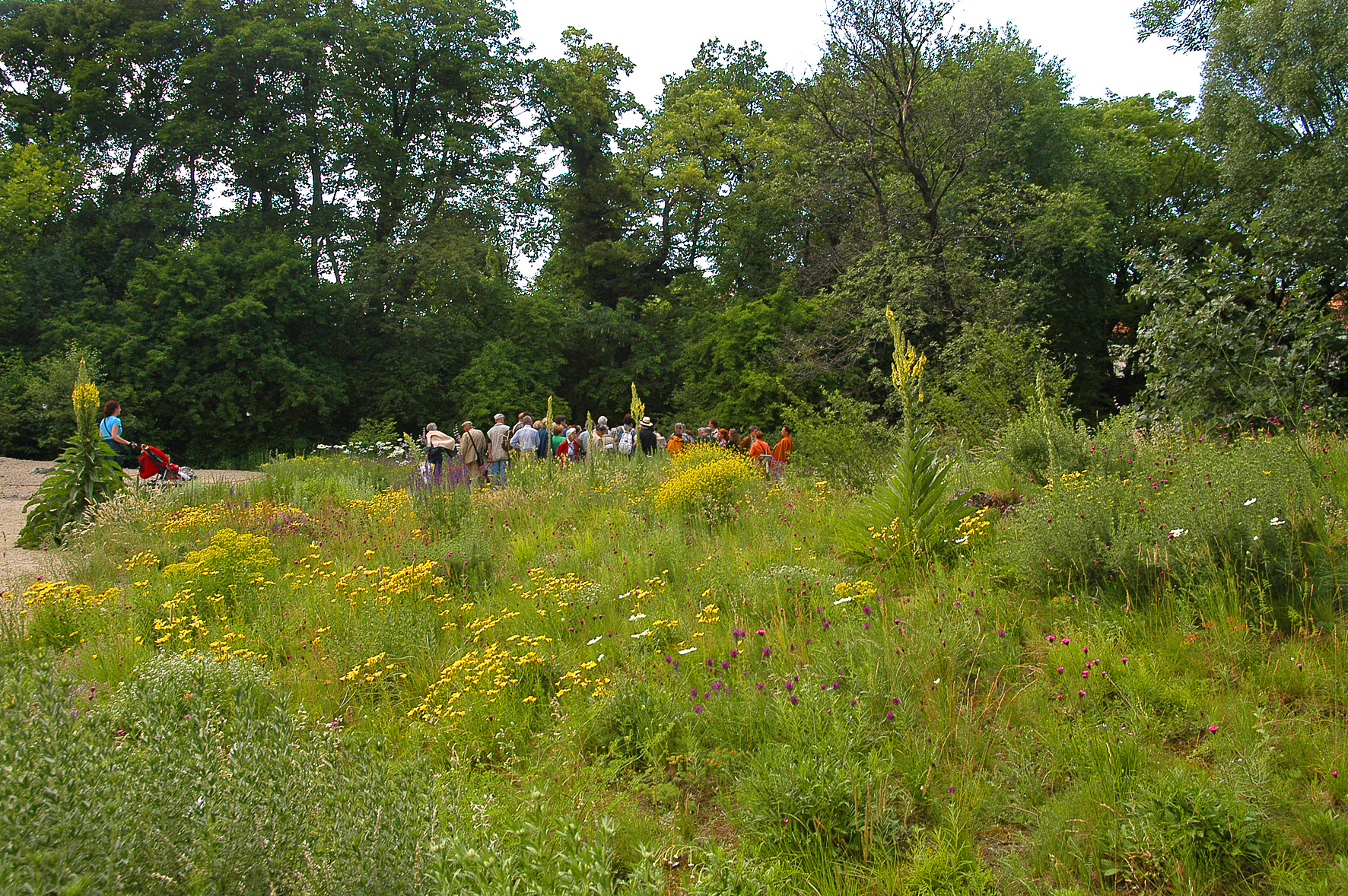 Ausflugsziel: Botanischer Garten der Universität Wien - Grüne Schule
