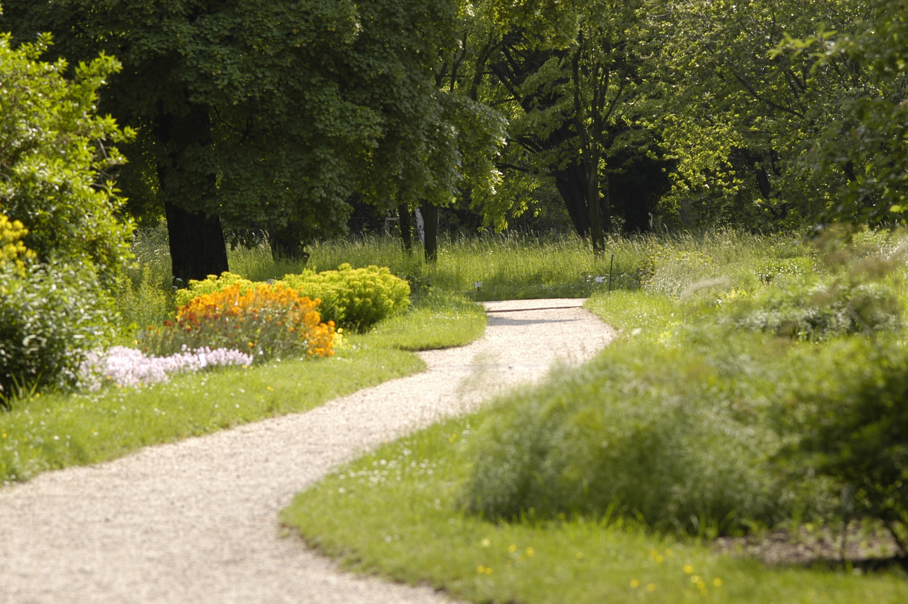 Ausflugsziel: Botanischer Garten der Universität Wien - Grüne Schule