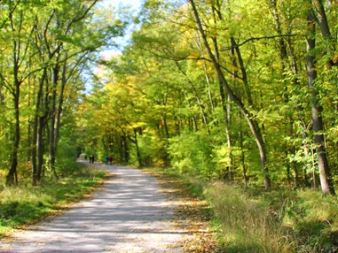 Ausflugsziel: Lainzer Tiergarten