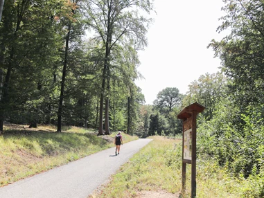 Ausflugsziel: Wandern im Lainzer Tiergarten, Copyright: MA 49/Christian Fürthner - Lainzer Tiergarten