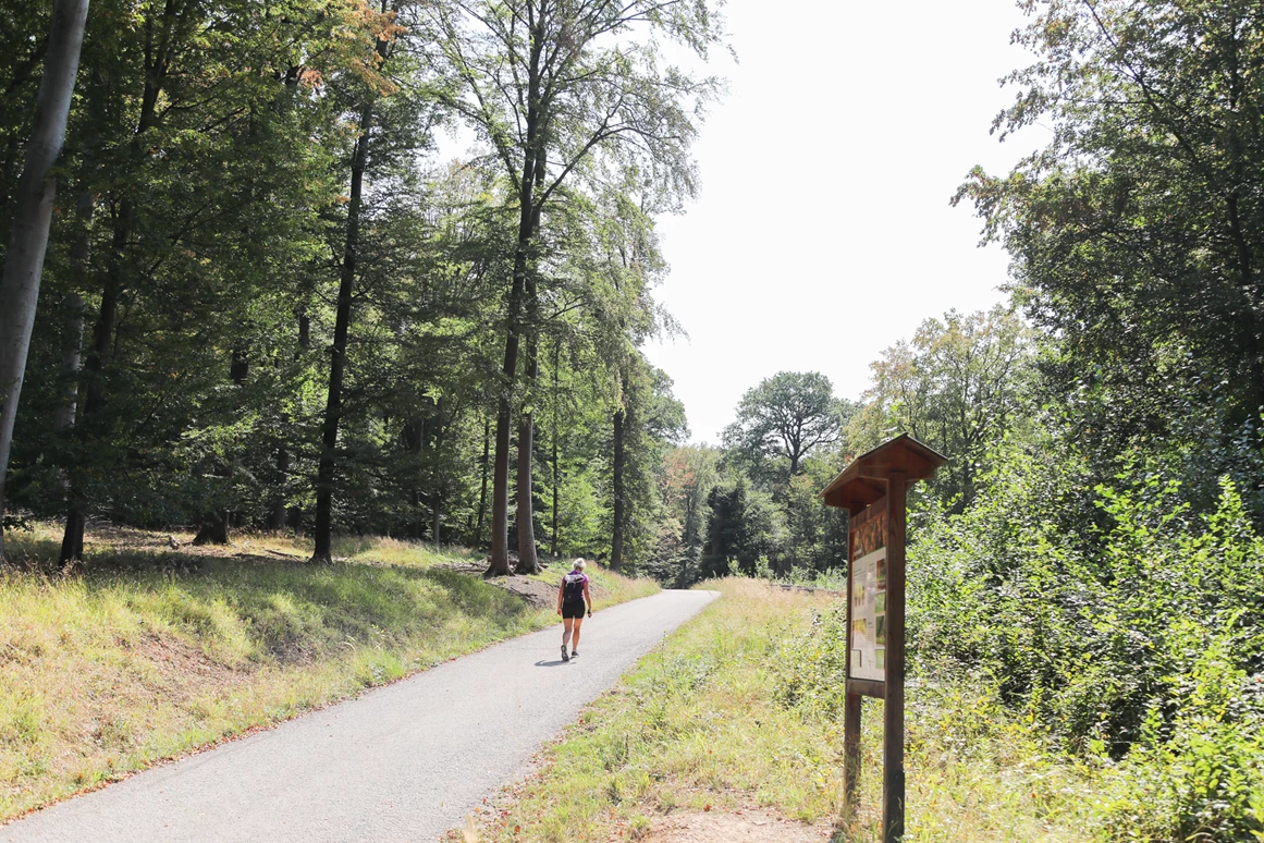 Ausflugsziel: Lainzer Tiergarten
