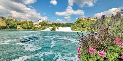 Reis met kinderen - Umgebungsschwerpunkt: Fluss - Rheinfall im Frühling - Rheinfall