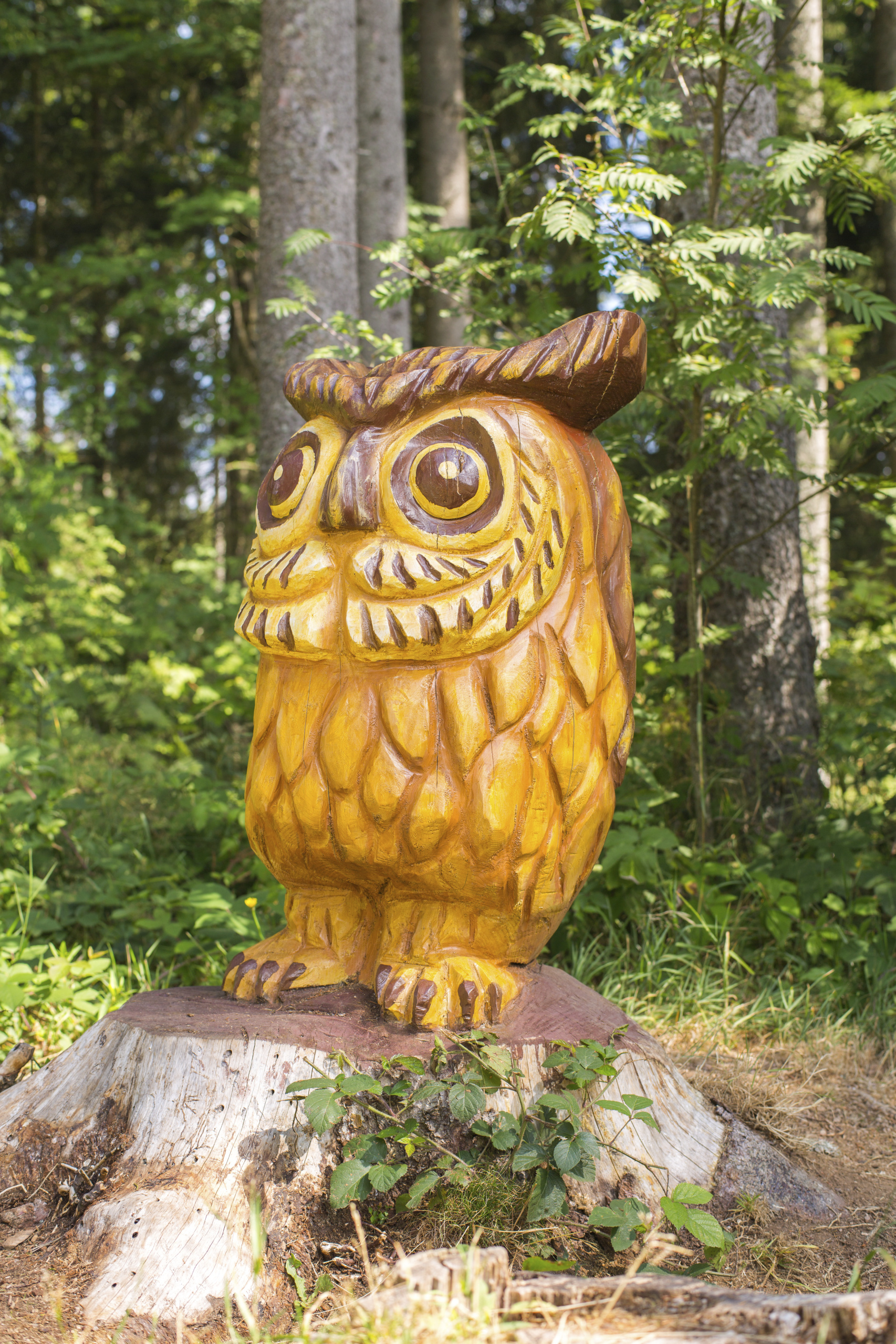 Ausflugsziel: Schlühüwanapark