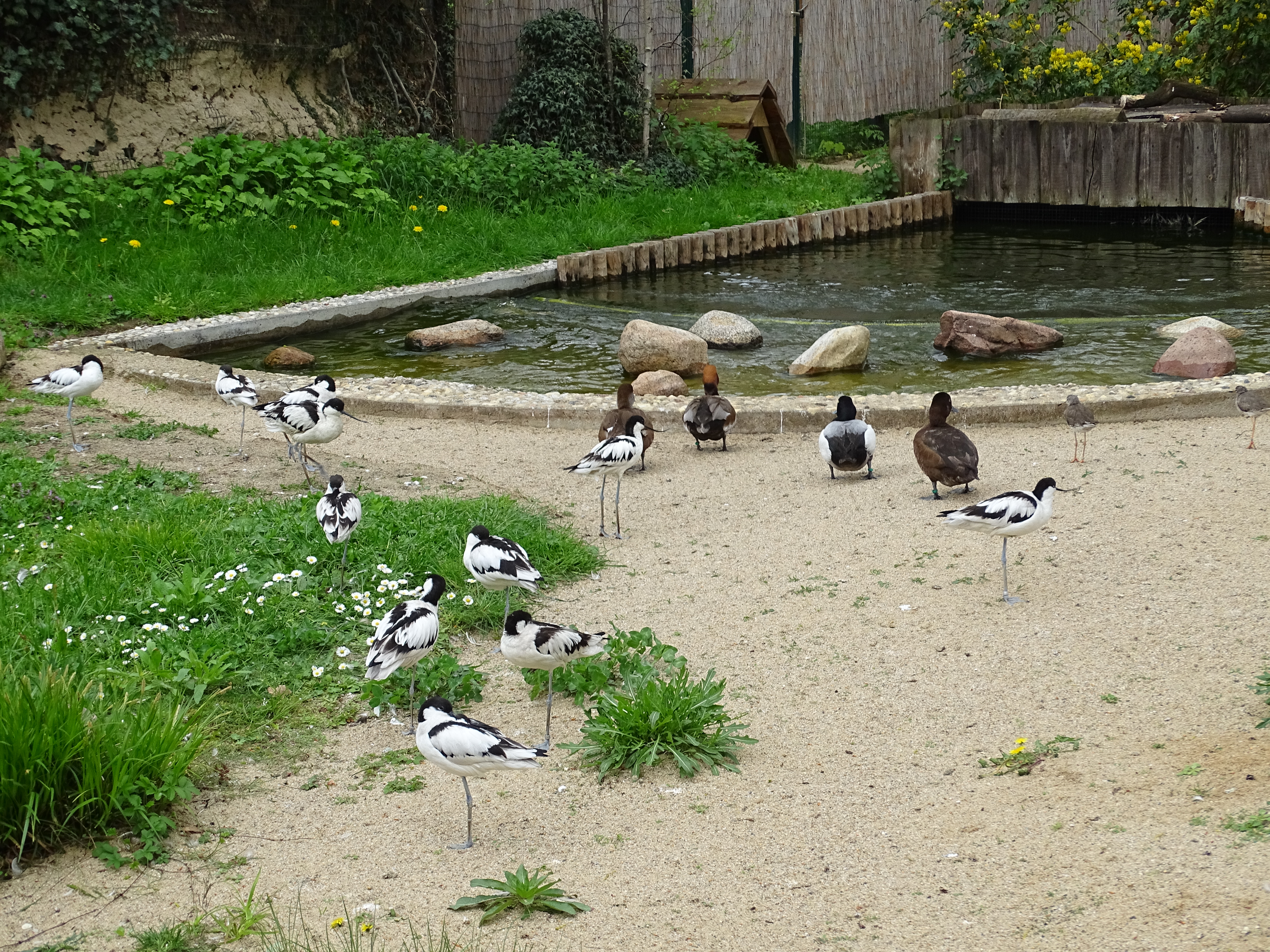 Ausflugsziel: Tierpark Dessau – Lehrpark für Tier- und Pflanzenkunde