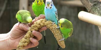 Ausflug mit Kindern - Halle (Kreisfreie Stadt Halle) - Tierpark Dessau – Lehrpark für Tier- und Pflanzenkunde