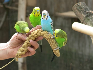 Ausflugsziel: Tierpark Dessau – Lehrpark für Tier- und Pflanzenkunde