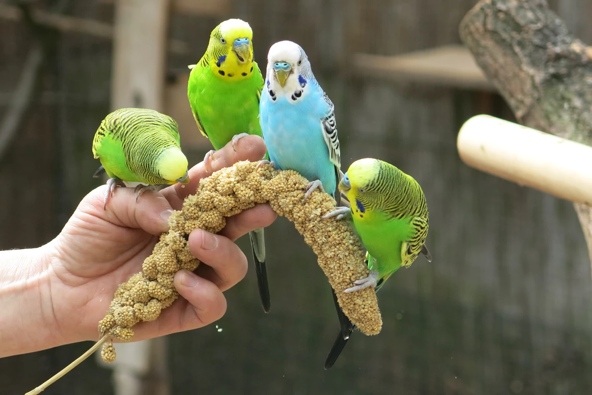 Ausflugsziel: Tierpark Dessau – Lehrpark für Tier- und Pflanzenkunde