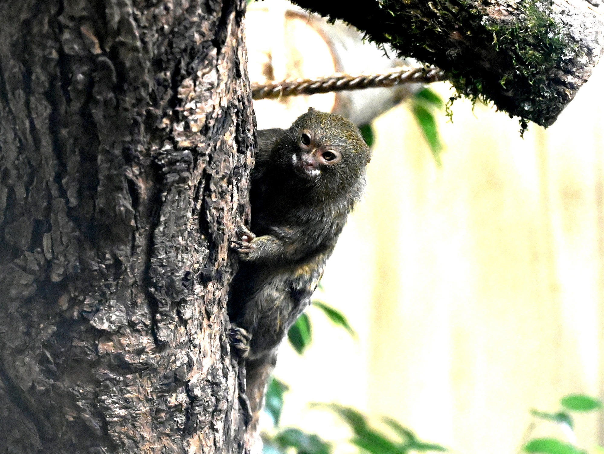 Ausflugsziel: Tiergarten Kleve